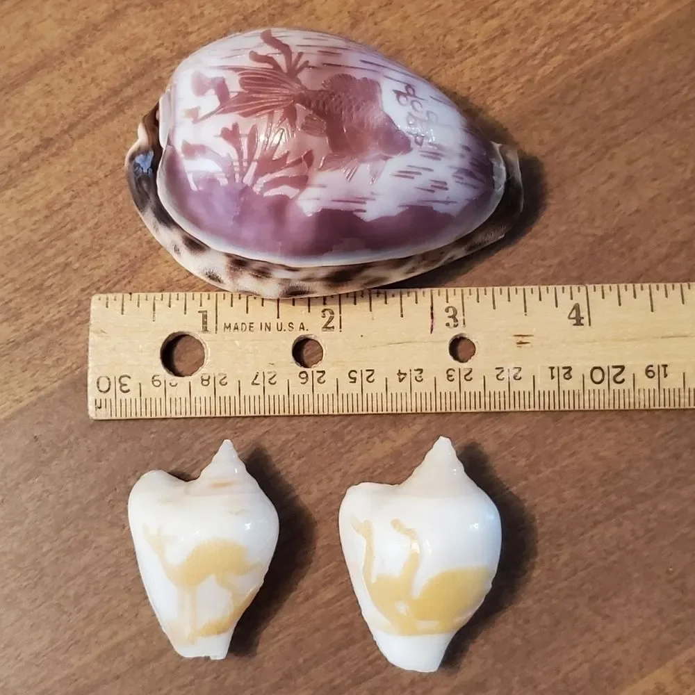 Set of 3 Vtg Hand Carved Tiger Cowrie Shells Souvenir Beach Fish, Deer & Swans